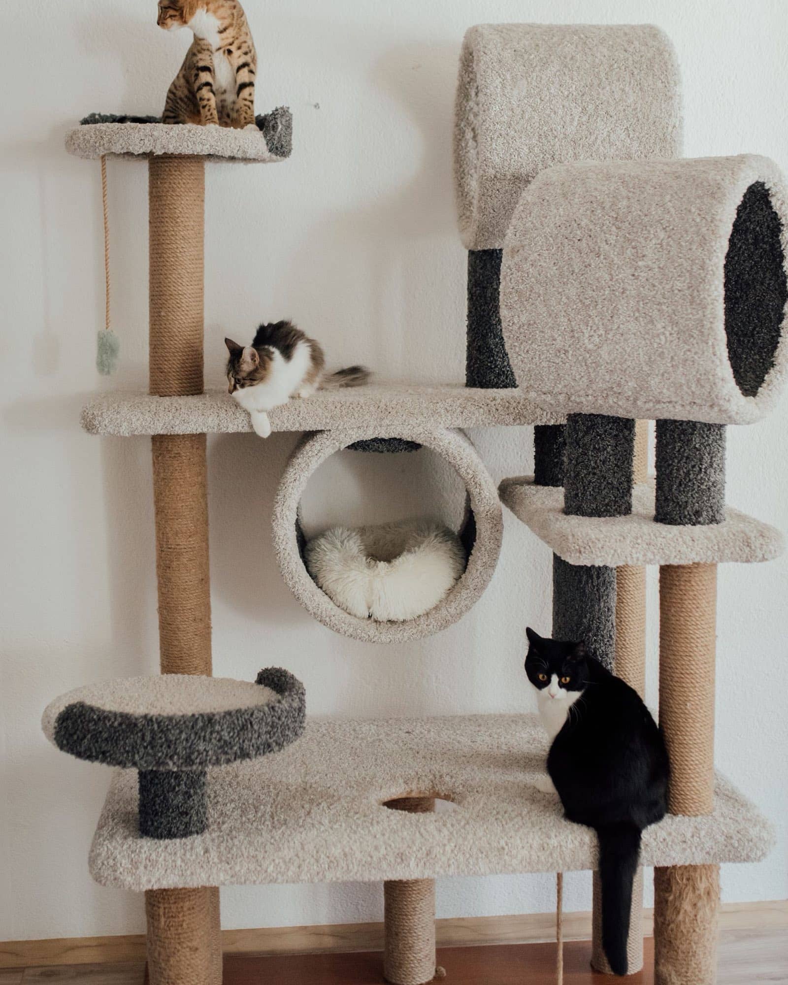 Mehrere Katzen verteilt auf den Ebenen eines großen Kratzbaums mit Höhle